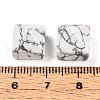 Natural Howlite Beads G-N345-02A-09-4