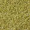 TOHO Round Seed Beads SEED-XTR11-0295-2