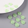 Transparent Frosted Acrylic Pendants MACR-S371-09A-733-6