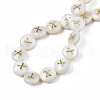 Natural Freshwater Shell Beads SHEL-S276-168X-4