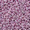 MIYUKI Round Rocailles Beads X-SEED-G007-RR1061-3