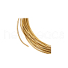 Brass Wire FIND-WH0170-40E-G-7
