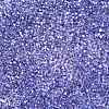 Baking Paint Transparent Glass Seed Beads SEED-N006-05H-3
