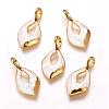Freshwater Shell Pendants ZIRC-F057-01B-1