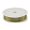 Baking Painted Iron Wire MW-NH0001-05B-1