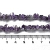 Natural Amethyst Chip Beaded Necklaces for Men Women NJEW-G159-01U-5
