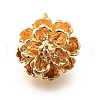 Brass Charms KK-M318-27G-1