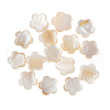 Natural Freshwater Shell Beads SHEL-CJ0001-17-1