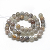 Natural Black Sunstone Beads Strands G-R446-6mm-33-2