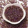 Spray Painted Glass Seed Beads SEED-F005-02A-01-2