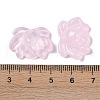 Baking Paint Glass Beads GLAA-S202-13H-3