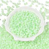 Glass Seed Beads SEED-T008-01D-2