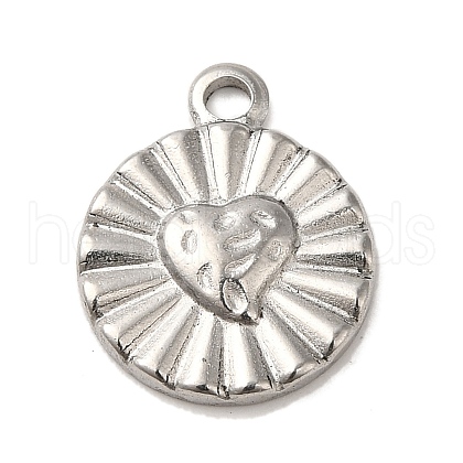 Non-Tarnish 304 Stainless Steel Charms STAS-R223-03-1