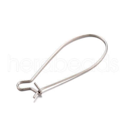 304 Stainless Steel Hoop Earrings X-STAS-D429-64-1