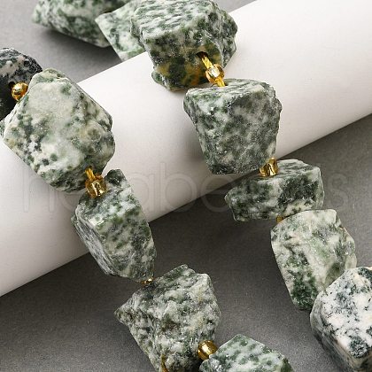 Raw Rough Natural Green Spot Jasper Beads Strands G-Z087-B16-1