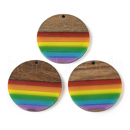 Pride Rainbow Theme Resin & Walnut Wood Pendants WOOD-K012-07B-1