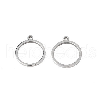 Non-Tarnish 304 Stainless Steel Charms STAS-N095-107-1