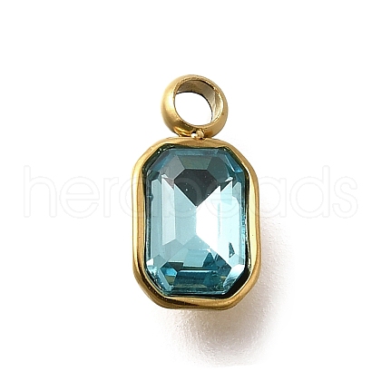304 Stainless Steel Pendants STAS-Q346-03G-03-1