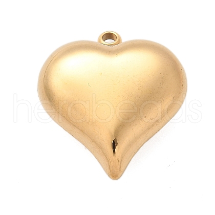 304 Stainless Steel Pendants STAS-Q349-02E-G-1