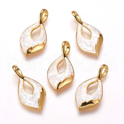 Freshwater Shell Pendants ZIRC-F057-01B-1
