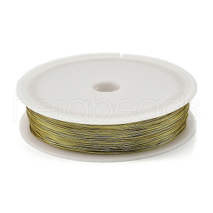 Baking Painted Iron Wire MW-NH0001-05B-1
