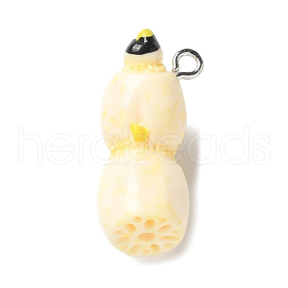 Resin Iron Pendants RESI-D280-02-1