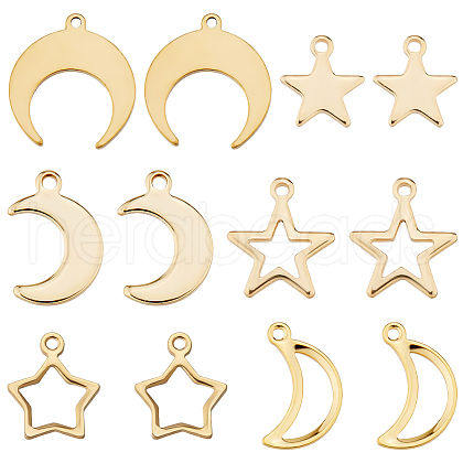 SUNNYCLUE 60Pcs 6 Style 304 Stainless Steel Charms STAS-SC0004-03-1