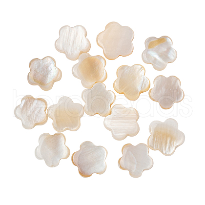 Natural Freshwater Shell Beads SHEL-CJ0001-17-1