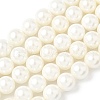 Shell Pearl Beads Strands BSHE-K015-10mm-03-1
