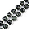 Natural Kambaba Jasper Beads Strands G-G182-B16-05-1