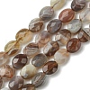 Natural Botswana Agate Beads Strands G-H004-B02-01-2
