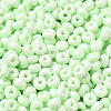 Baking Paint Glass Seed Beads SEED-B001-02A-11-3