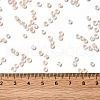 12/0 Transparent Glass Seed Beads X-SEED-F003-03C-12-4