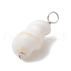 Natural Conch Shell Pendants PALLOY-JF02808-01-4