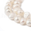 Natural Cultured Freshwater Pearl Beads Strands PEAR-P064-19J-02B-4