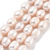 Natural Cultured Freshwater Pearl Beads Strands PEAR-P062-15C-2