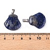 Natural Sodalite Pendants G-T138-208J-3