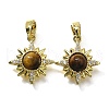 Natural Tiger Eye Sun Charms KK-K398-19G-1