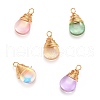 Transparent Glass Pendants PALLOY-JF00559-1