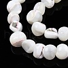 Natural Trochid Shell/Trochus Shell Beads Strands SSHEL-N032-48-B01-3