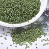 MIYUKI Round Rocailles Beads X-SEED-G007-RR1926-1