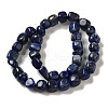 Natural Lapis Lazuli Beads Strands G-B078-D09-02-3