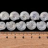 Electroplate Glass Beads Strands EGLA-F164-AB01-4