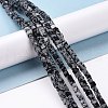 Natural Snowflake Obsidian Beads Strands G-F631-K16-4