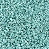 MIYUKI Delica Beads X-SEED-J020-DB1576-3
