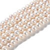 Natural Cultured Freshwater Pearl Beads Strands PEAR-E018-15-1