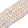 Natural Cultured Freshwater Pearl Beads Strands PEAR-E018-15-1