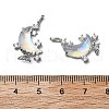 Brass Micro Pave Cubic Zirconia with Resin Pendants KK-Z103-04P-3