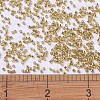 MIYUKI Delica Beads X-SEED-J020-DB0410-4