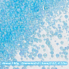 SUNNYCLUE 100G Bubble Beads GLAA-SC0002-34A-2